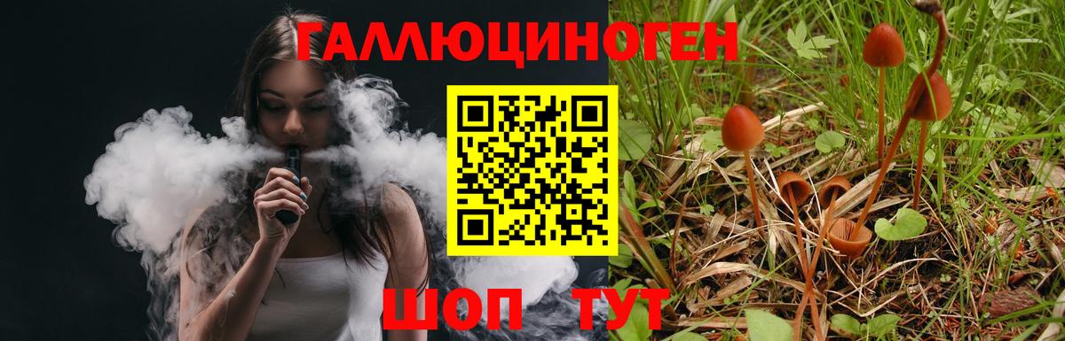 наркота  Вход с VPN  Сорочинск  Галлюциногенные грибы прущие грибы 