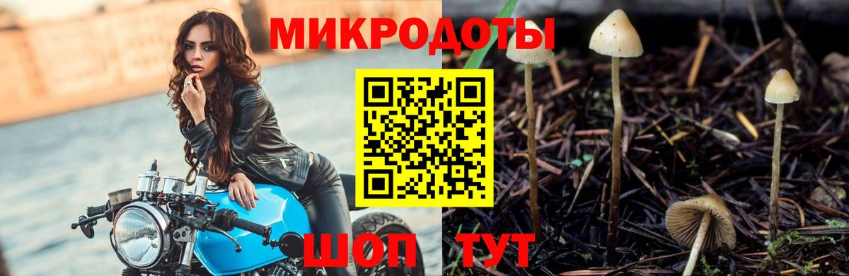 Псилоцибиновые грибы ЛСД Сорочинск